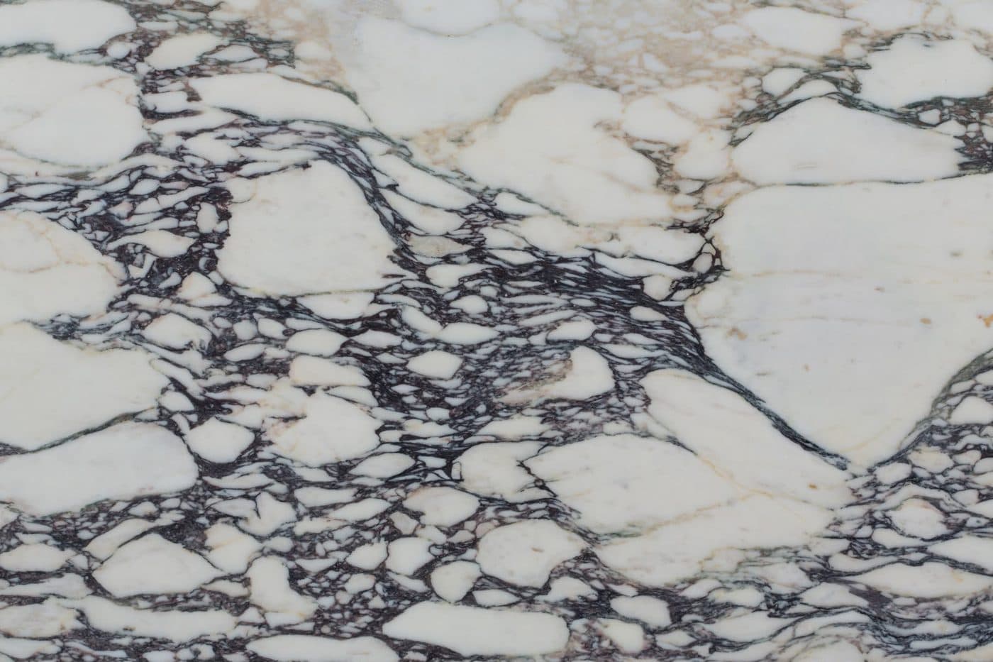 Calacutta Viola marble slab